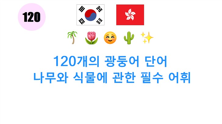 120개의 광둥어 단어: 나무와 식물에 관한 필수 어휘